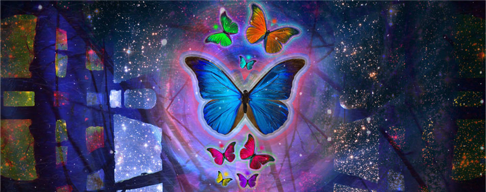 呼死你软件下载